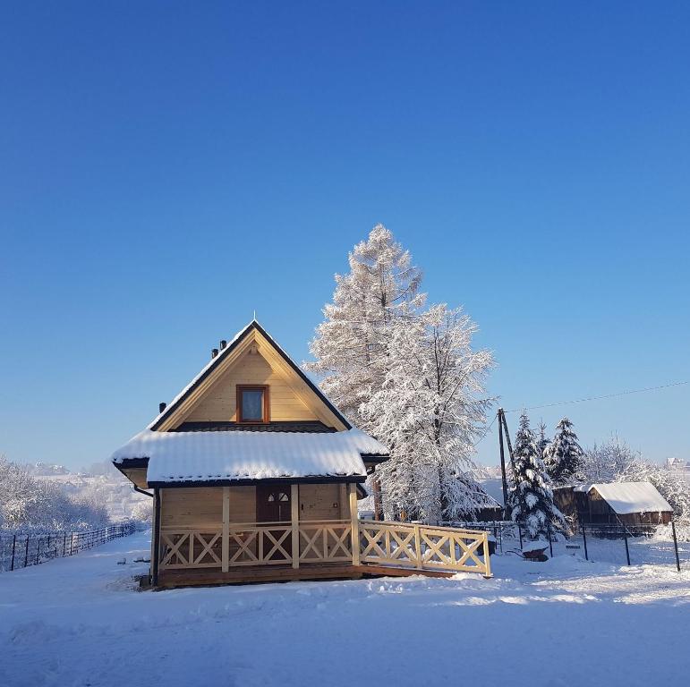 斯扎法拉瑞Eko domki MaMastra Szaflary的雪中的小小屋,有雪覆盖的树木