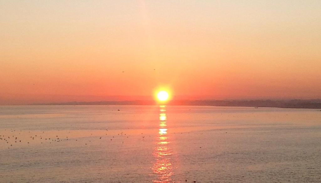 焦维纳佐La Finestra sul Mare的一群鸟在水面上日落