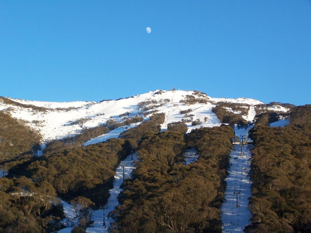 斯瑞德伯特莱波31公寓的享有雪覆盖的山林的空中景致