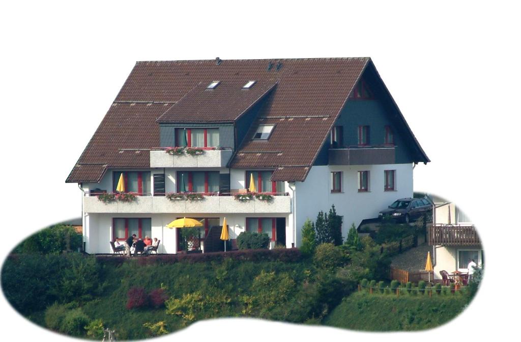 阿尔特瑙Haus Reimann的一间棕色屋顶的大房子