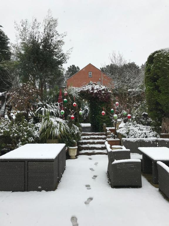 切尔滕纳姆Clematis House Gloucester Road的花园覆盖着雪,长椅和鲜花