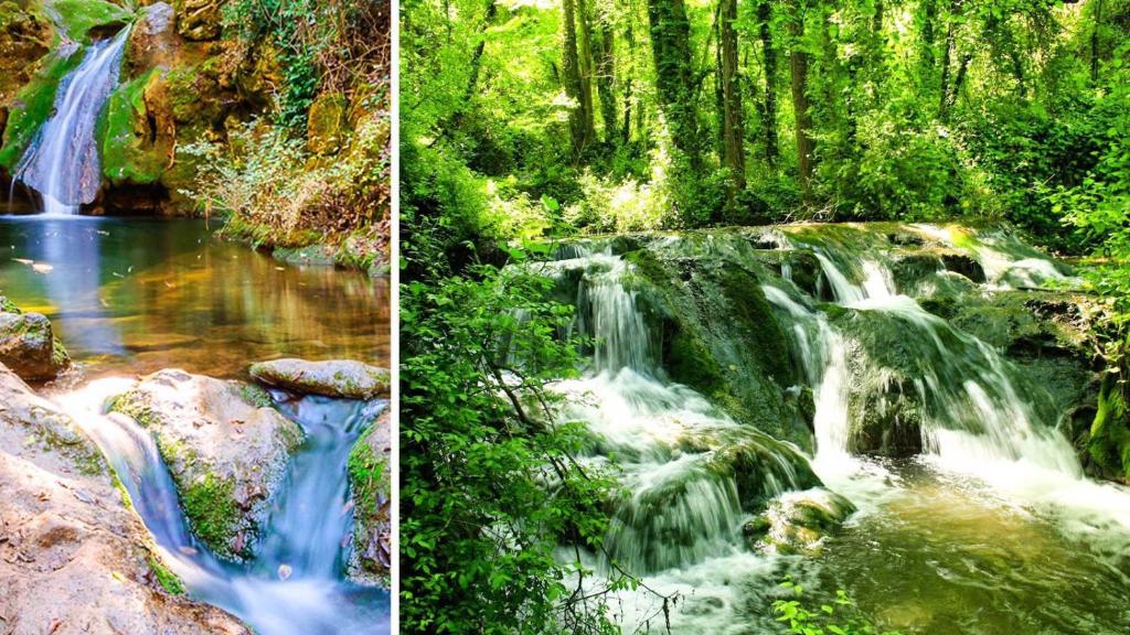 科尔多瓦Bungalows Rurales的森林瀑布的两张照片