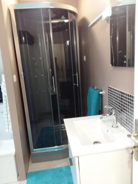 布鲁塞尔布鲁塞尔机场私人一室公寓的一间带水槽和玻璃淋浴的浴室