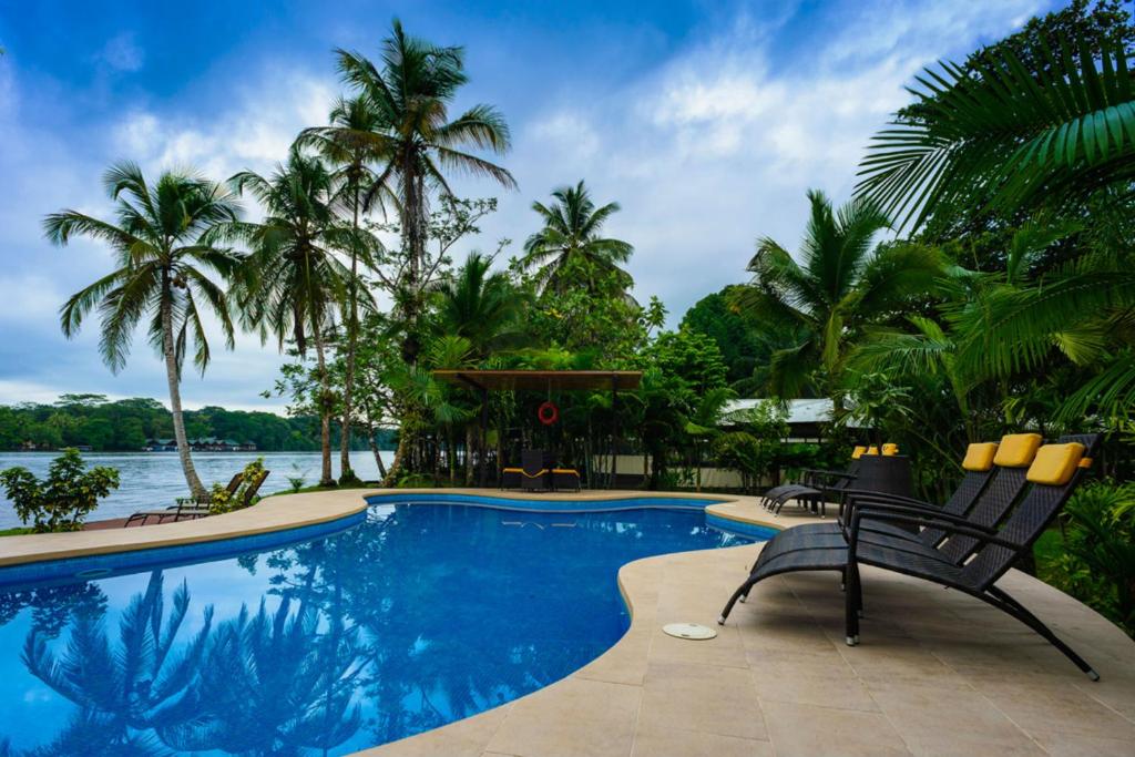 托尔图格罗玛纳杜斯酒店的一个带椅子的游泳池,享有水景