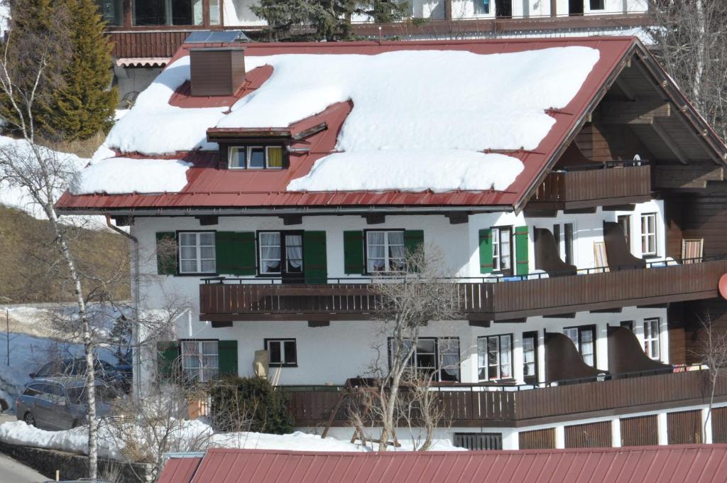 希洛谢克Herzen´s Landhaus的屋顶上积雪的房子
