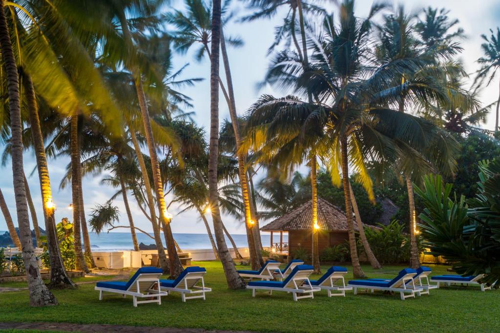乌纳瓦图纳Rockside Cabanas Hotel的海滩上一群椅子和棕榈树