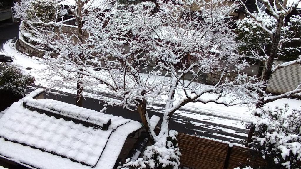 京都金阁的树旁有两长凳,雪覆盖