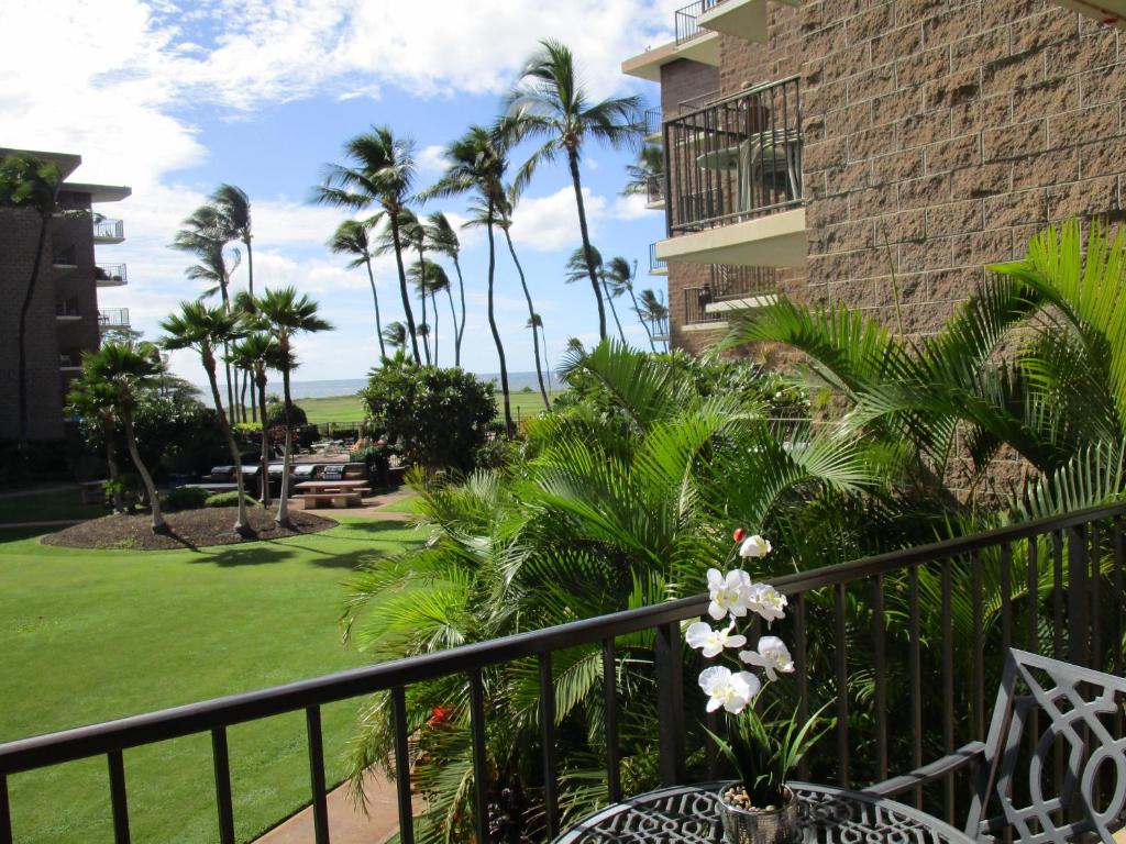 基黑Kauhale Makai Condo on the Beach的一个带棕榈树和草坪的度假阳台