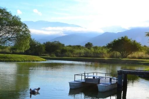 Campo Quijano查瓦希卡瓦尼亚斯酒店的湖上狗和小船,水里狗