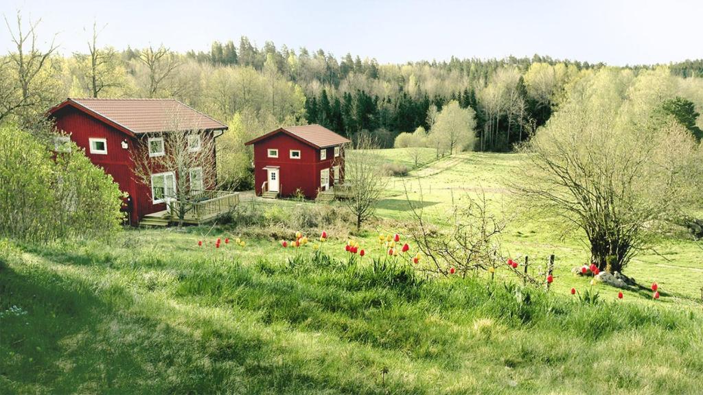 瓦尔德马什维克Häradssätter Gård的红色的田野房子,有红色的花