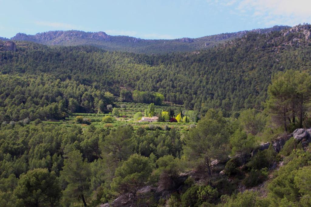 莫拉塔利亚Cortijo Los Gorros的森林中间房屋的空中景观