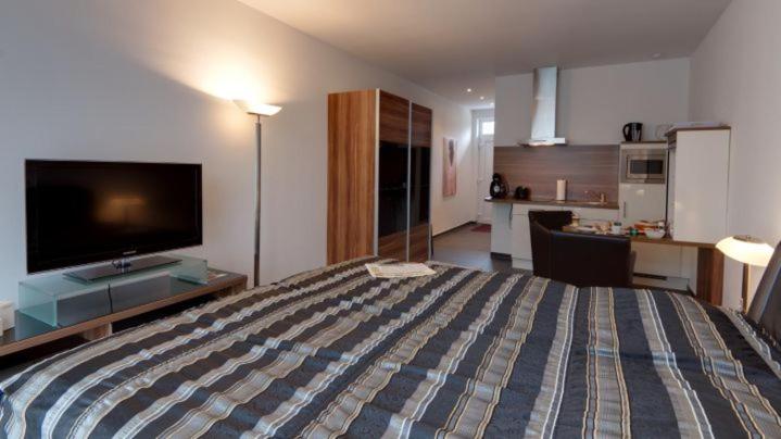 亚琛校园寄宿旅馆的一间大卧室,配有一张大床和一个厨房