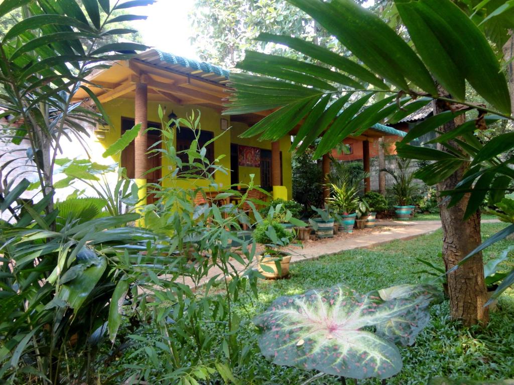 锡吉里亚Sigiri Neo Homestay的前面有一堆植物的黄色房子