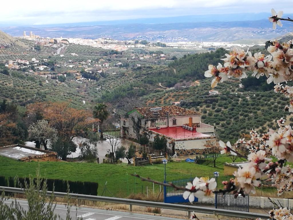 哈恩卡萨利亚彼德拉乡间餐厅旅馆的从鲜花盛开的山丘上欣赏到城市美景