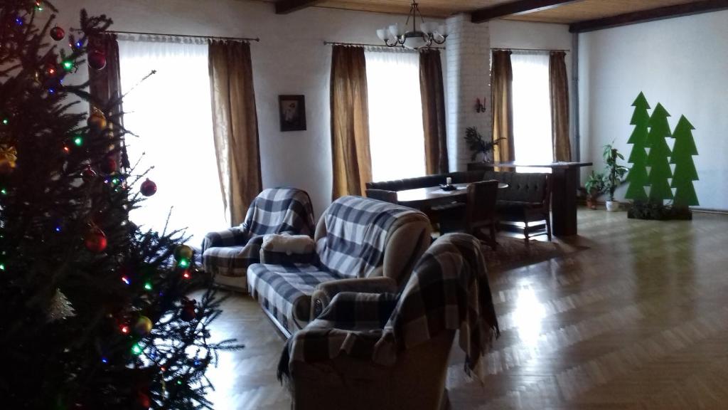 DilyatynВізерунок的客厅配有圣诞树和沙发
