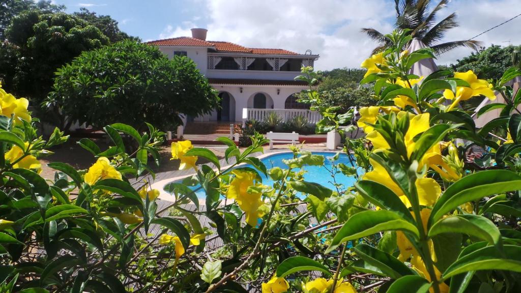 弗利康弗拉克Shanti Villa的一座带游泳池和黄色鲜花的房子