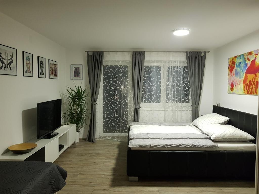 PinsdorfFerienwohnung的一间卧室设有一张床、一台电视和一个窗口。