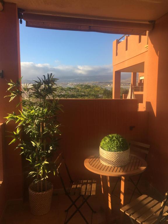厄尔梅达诺alquilaencanarias El Medano Sotavento, Great Terrace and beach的阳台配有桌子、植物和窗户。