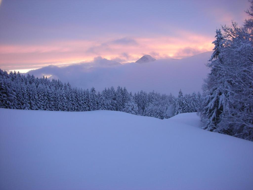 维辛Stangleggerhof的享有雪覆盖的山林美景