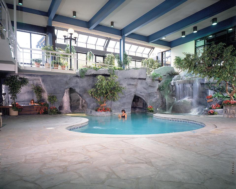 加特林堡西德尼·詹姆斯山酒店的瀑布游泳池里的人