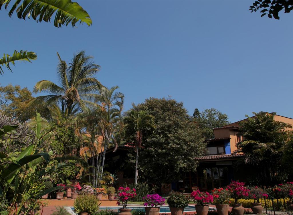 库埃纳瓦卡Orchidelirium Casa Hotel & Salud Estética的享有酒店花园的景致。