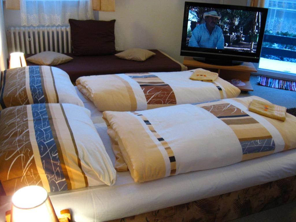 波普拉德斯拉维亚旅馆的一组床铺,位于一个配有电视的房间