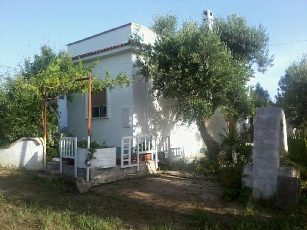 马鲁焦Villa d'Arte的一座小白色房子,有树和栅栏