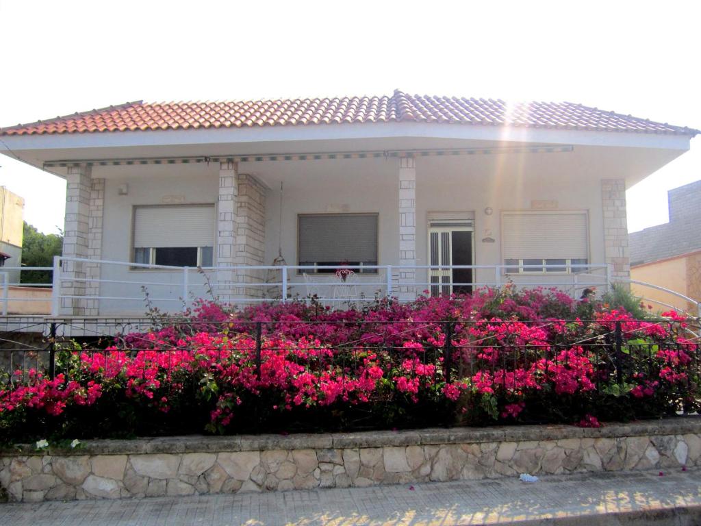 拉卡莱Don Vito的前面有粉红色花的房子