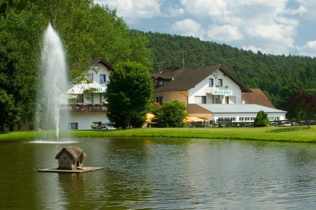 WeidenbachHotel Pappelhof的湖中喷泉,有建筑物