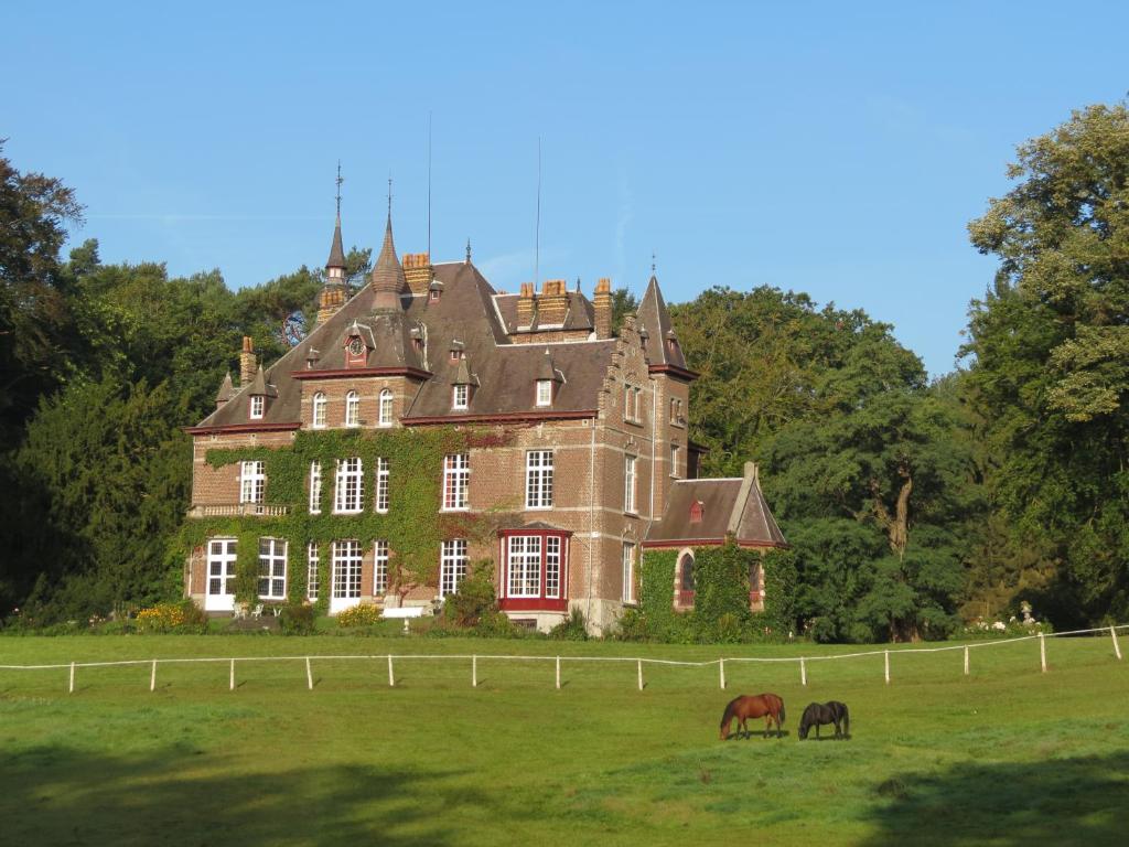 Villers-la-VilleGîte du Châtelet的两匹马在城堡前的田野上放牧