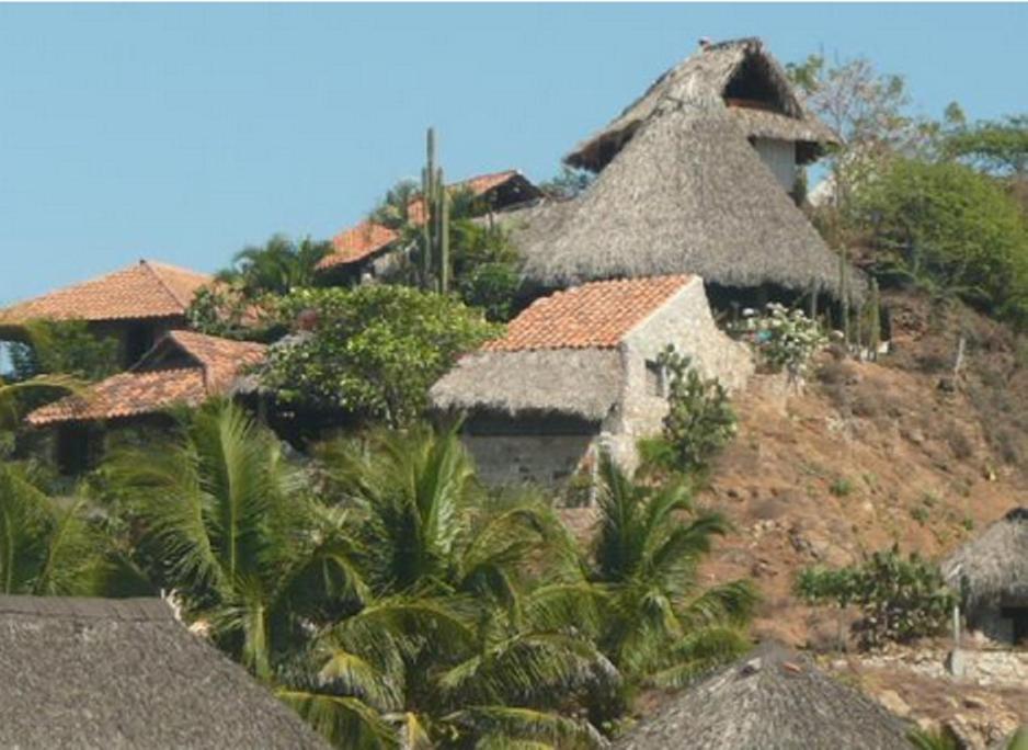 兹波利特LA LOMA LINDA, Bungalows, Yoga and Feldenkrais, STARLINK INTERNET的一组茅草屋顶和棕榈树的房屋