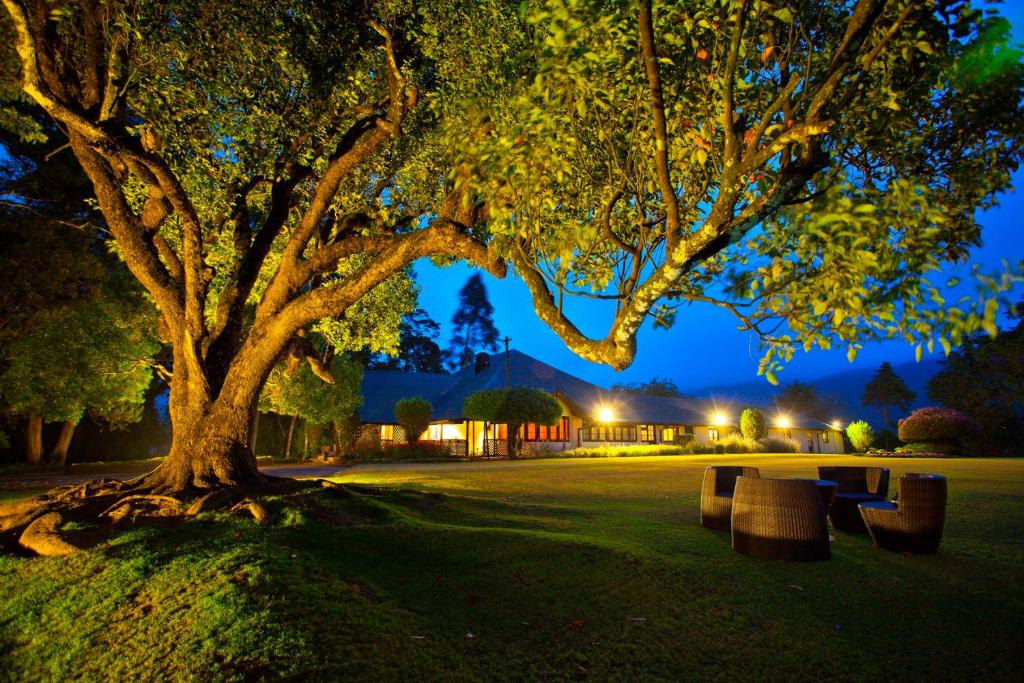 努沃勒埃利耶Ferncliff Bungalow的夜间在树下放长椅的公园