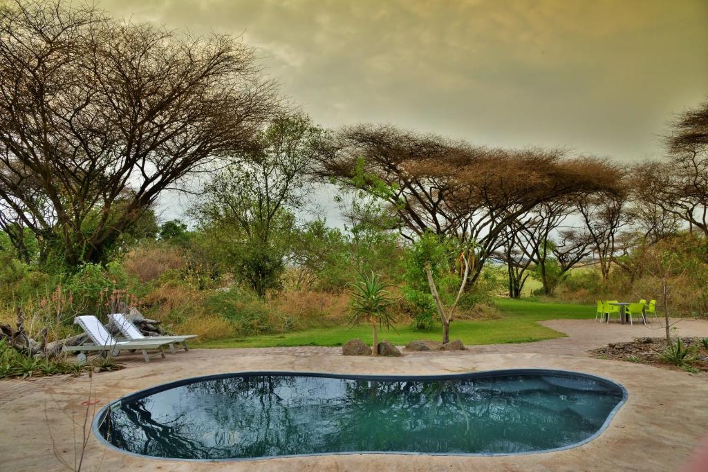 ChobeMuchenje Self Catering Cottages的一个带长凳和树木的庭院内的游泳池