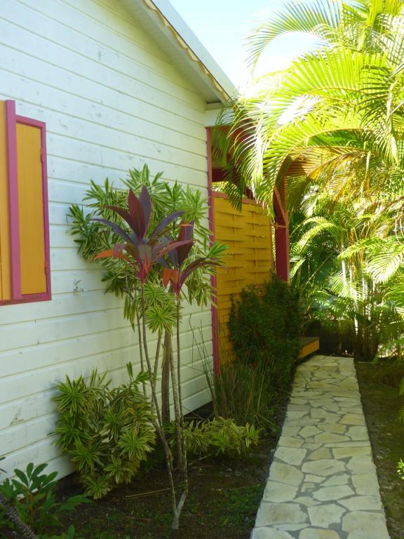 圣罗斯Coco Bungalows的前面有棕榈树的房子