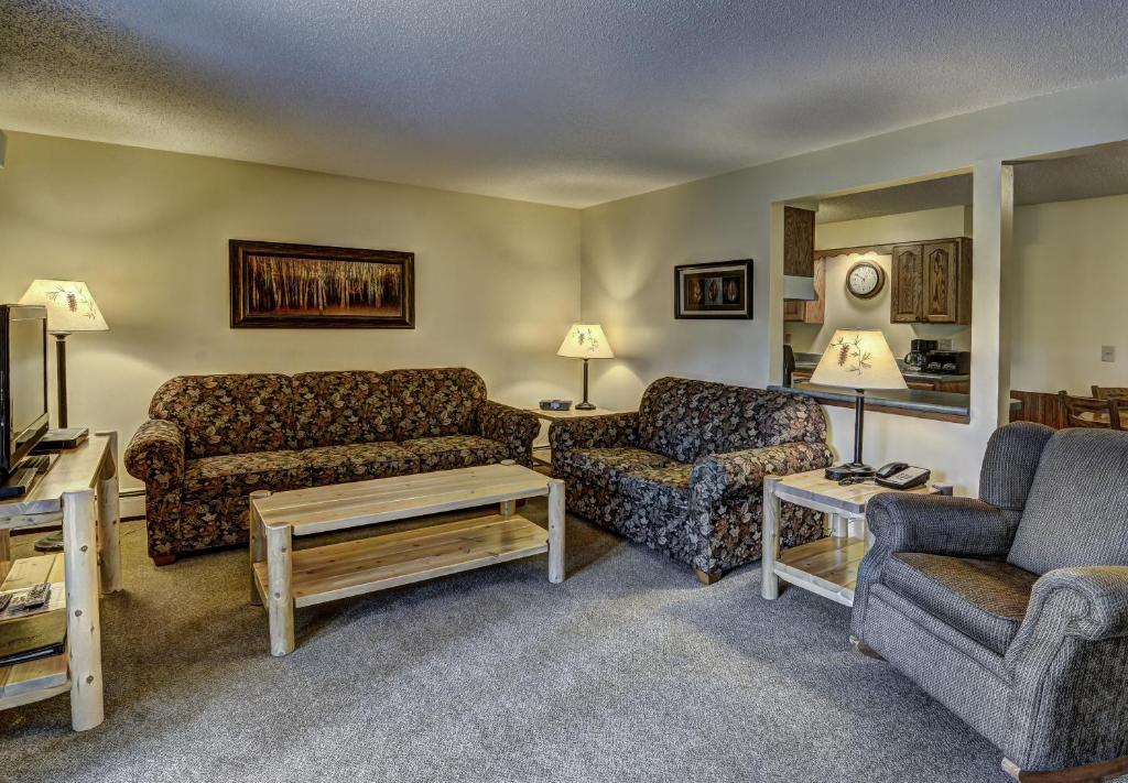 伊格尔里弗Lake Forest Resort的客厅配有沙发、椅子和电视