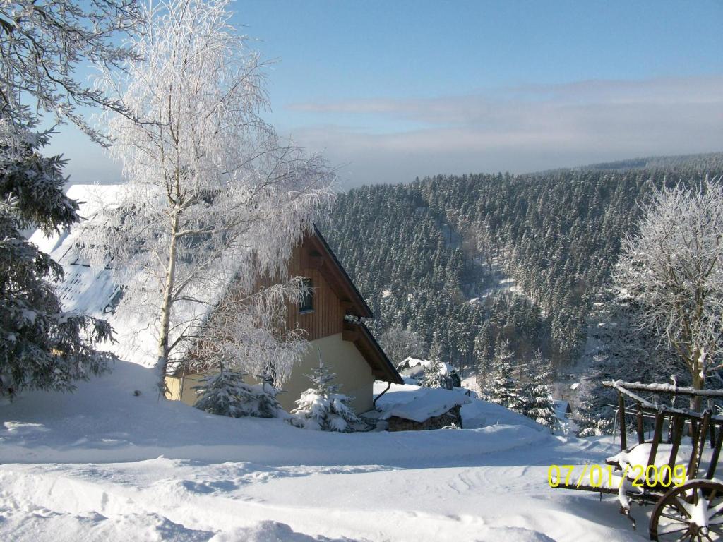 克林根塔尔Ferienwohnung Familie Becher Klingenthal Aschberg的山景雪盖小屋