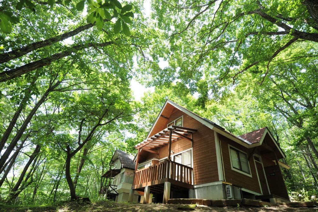 北斗市Izumigo AMBIENT Yatsugatake Cottage的树林里的房子,周围树木环绕