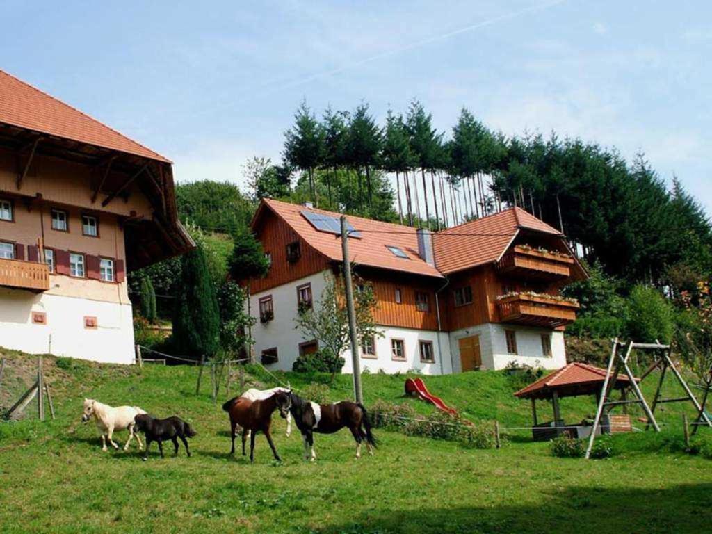 SchweighausenSchwoererhof的一群马站在房子前面的田野上