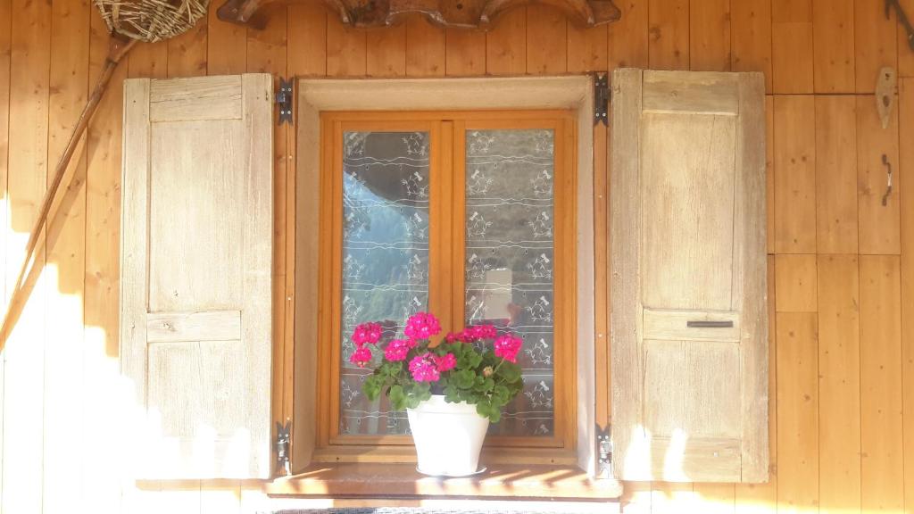 沃雅尼Le Perce Neige的窗台上一盆盆植物的窗户