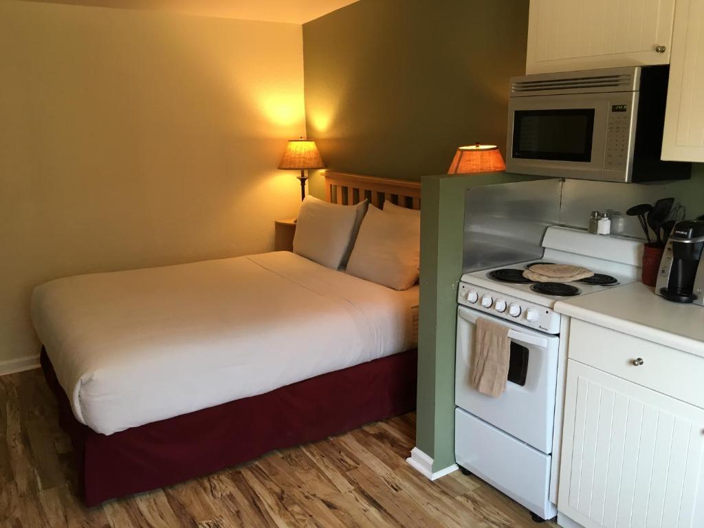 克利尔莱克Clear Lake Cottages & Marina的一间卧室配有一张床、一台微波炉和炉灶