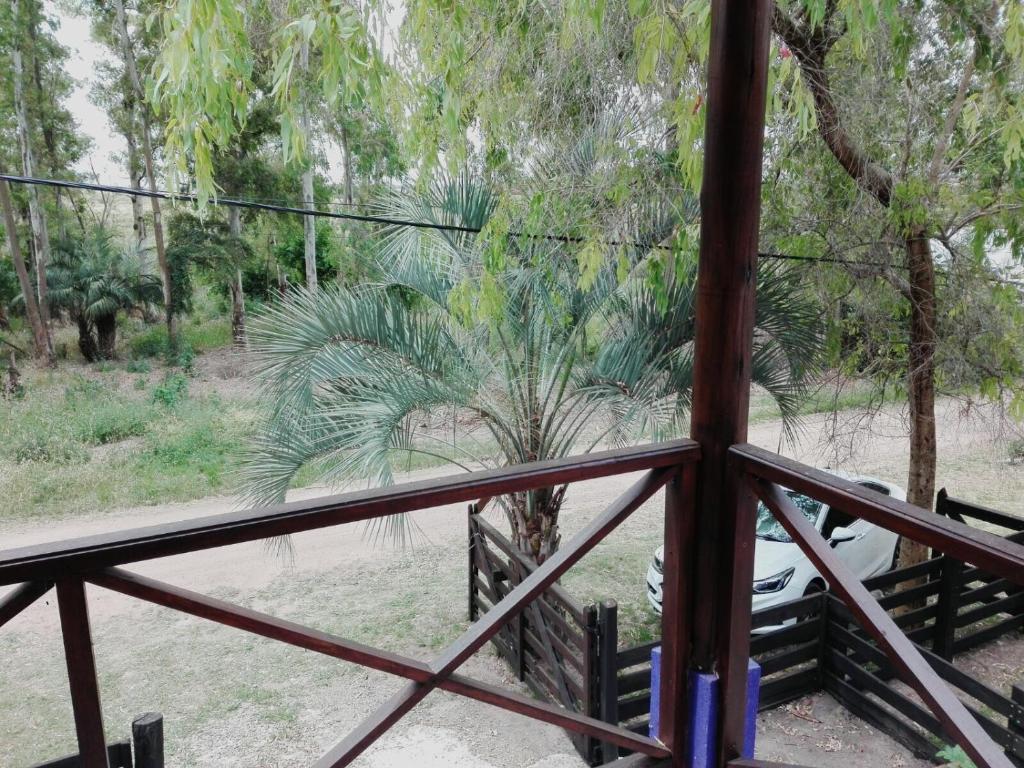 圣安娜Escape a la Naturaleza的从阳台可欣赏到棕榈树的景色