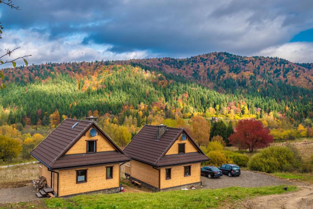 齐斯纳Krzywy Zakątek的享有山景的房屋的空中景致