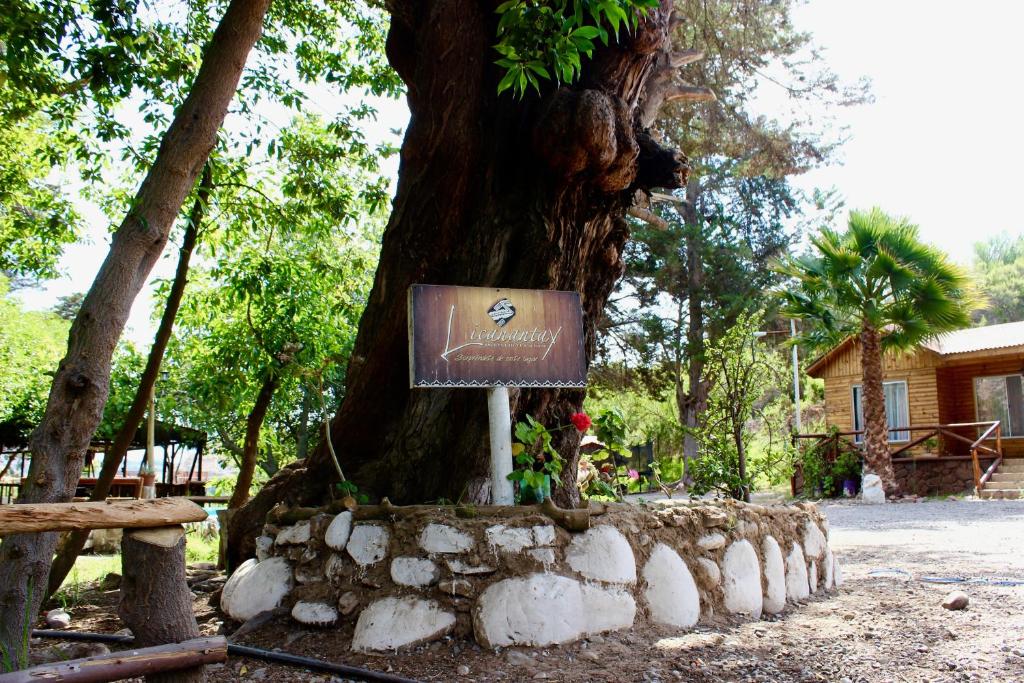 巴耶纳尔Cabañas Licanantay的前面有标志的树