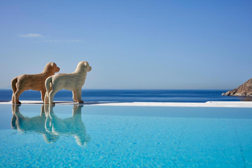 埃利亚海滩皇家麦肯尼亚 - 世界顶级酒店的两只狗站在海边