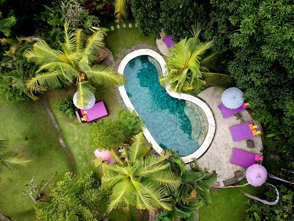 乌布斯瓦斯提生态别墅酒店的享有棕榈树游泳池的顶部景致