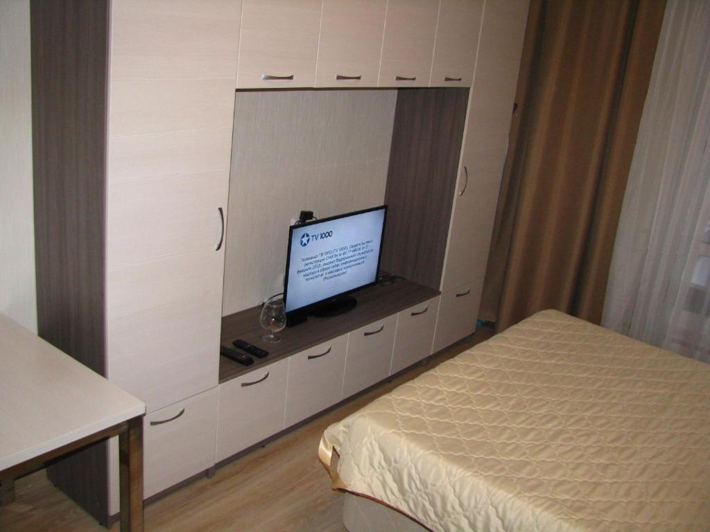 圣彼得堡Студия у метро Московская的一间卧室配有一张床,并在橱柜里配有电视