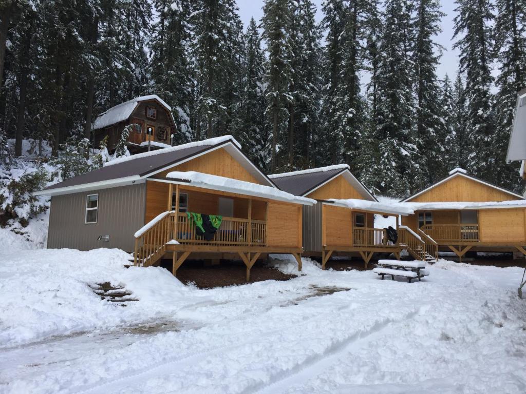 MalakwaLast Spike Lodging的雪中树林中的小屋