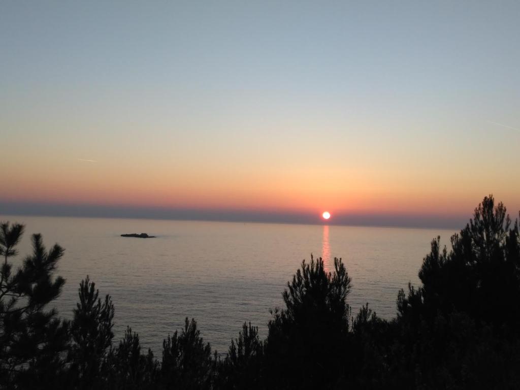 巴比诺波尔杰Sunny side of Adriatic的水面上的日落,在前方的树林中
