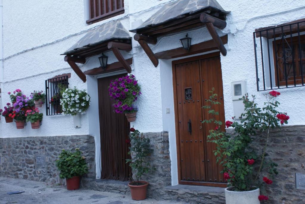 布维翁Casa De La Ermita的白色的建筑,有盆栽植物和木门