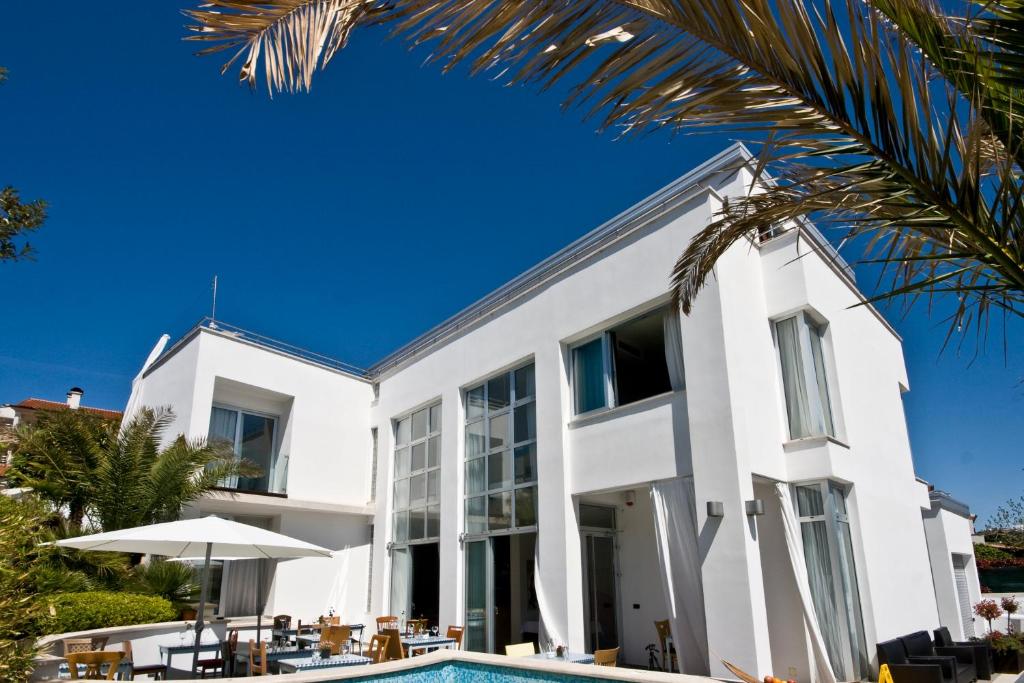 普拉Villa Andrea的一座带游泳池和棕榈树的白色房子